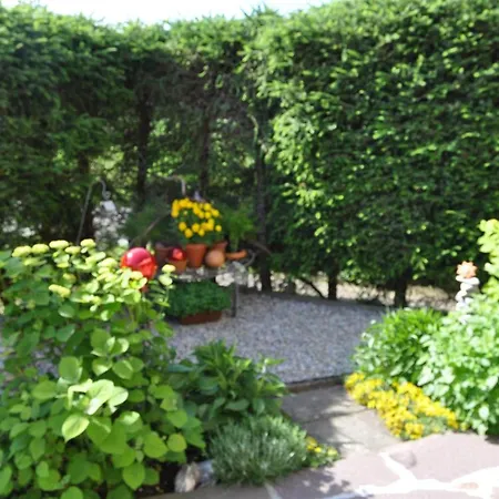 Apartamento Alpentraum - Kiesel
